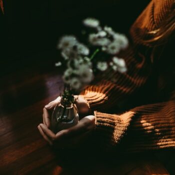 giving a plant as a gift