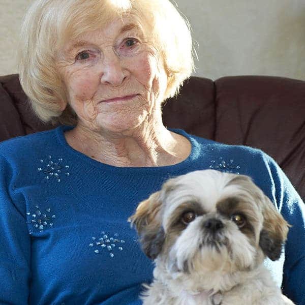 domiciliary carer helps with pets