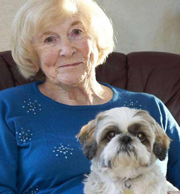 domiciliary carer helps with pets